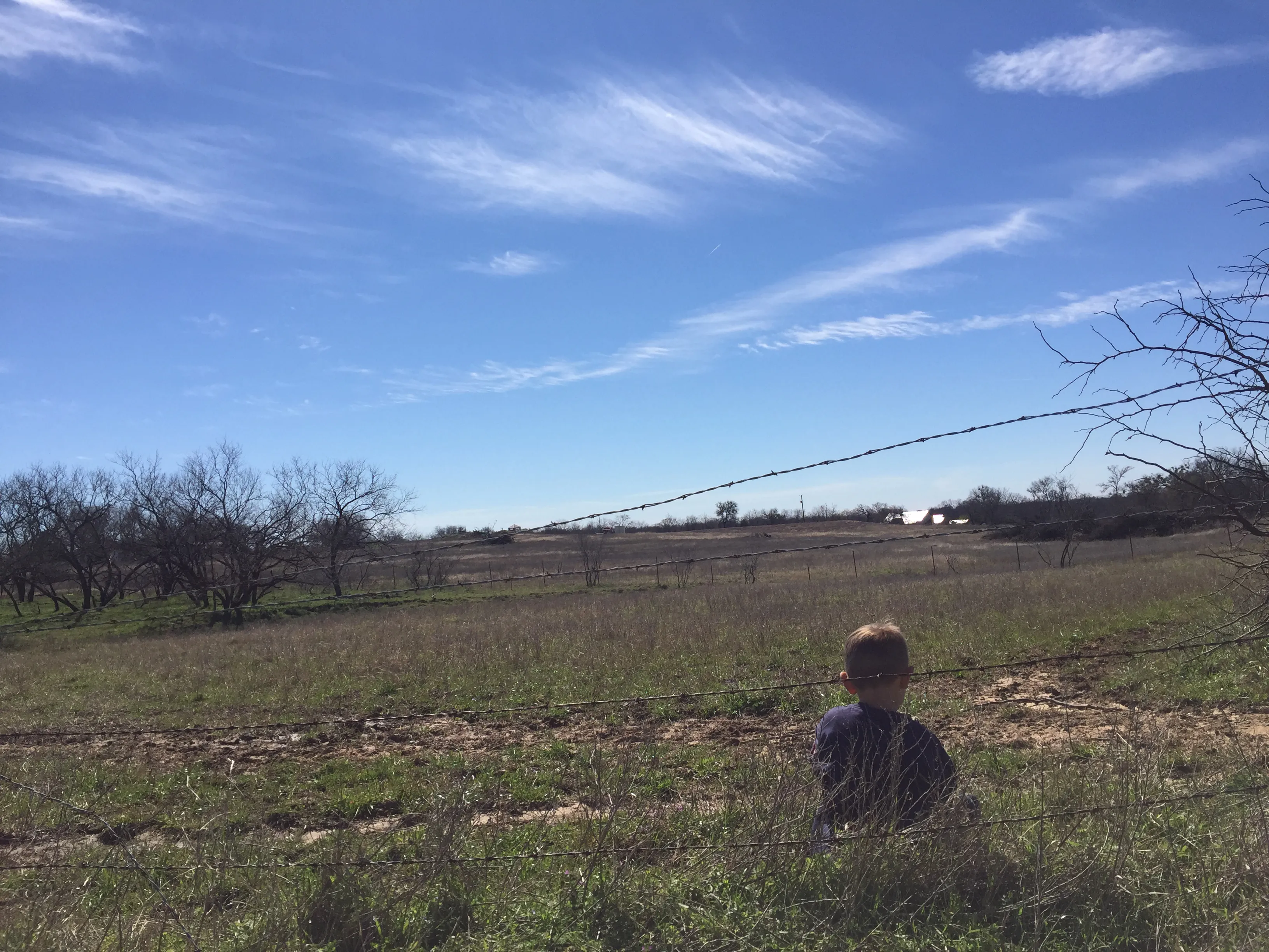 texas landscape childhood