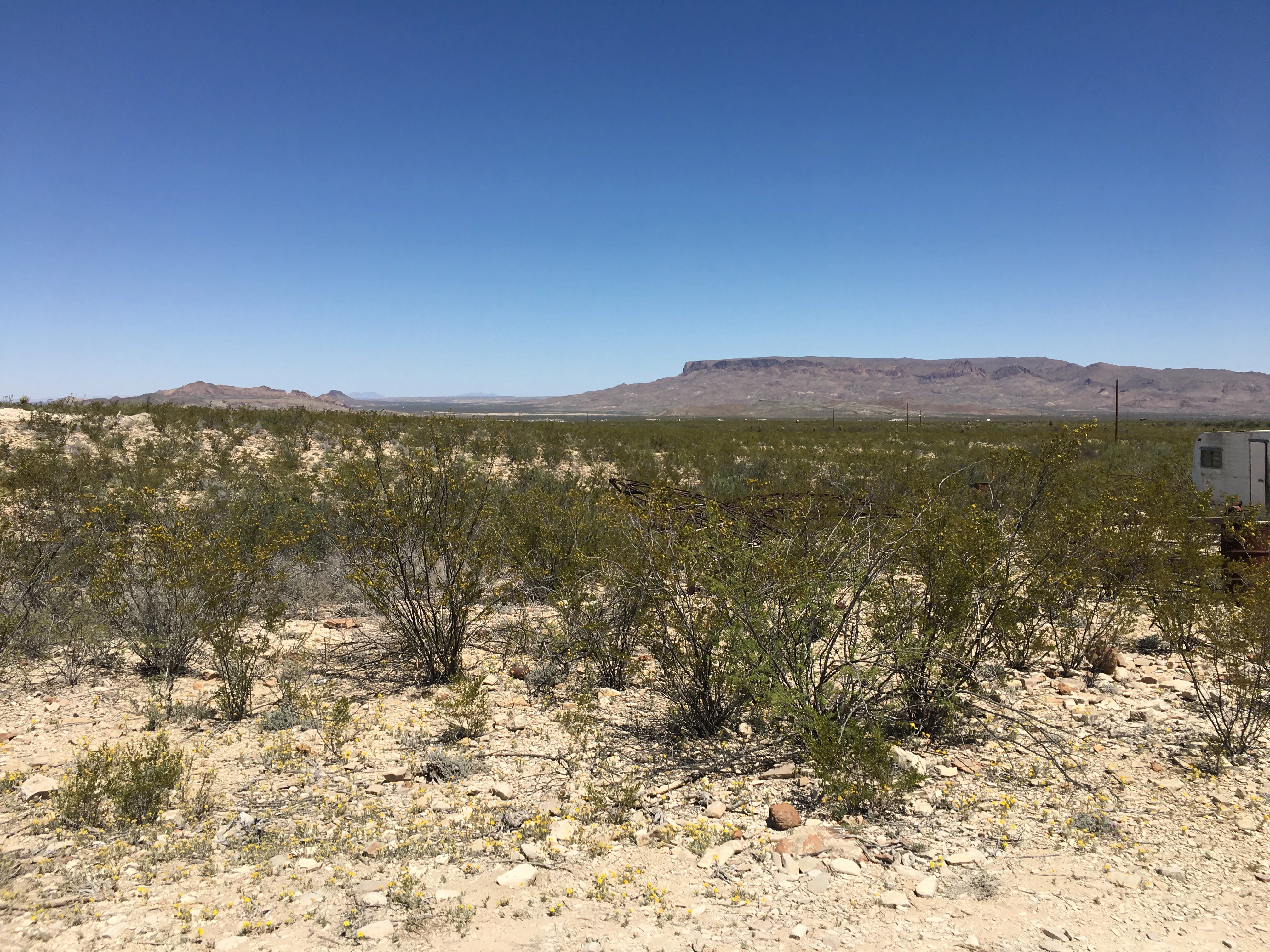 west texas landscape